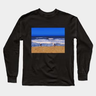 Two seagulls on a sandy beach blue ocean waves in San Diego California Long Sleeve T-Shirt